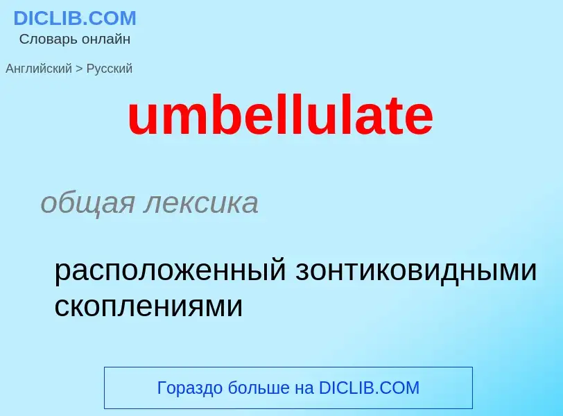 Μετάφραση του &#39umbellulate&#39 σε Ρωσικά