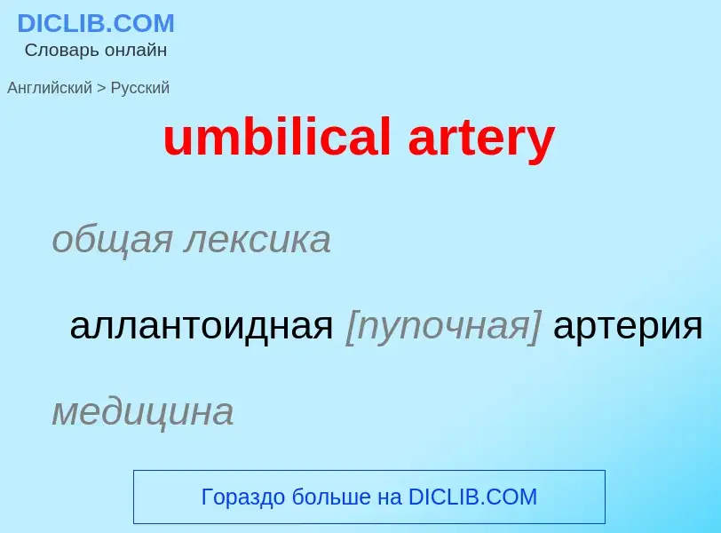 Μετάφραση του &#39umbilical artery&#39 σε Ρωσικά