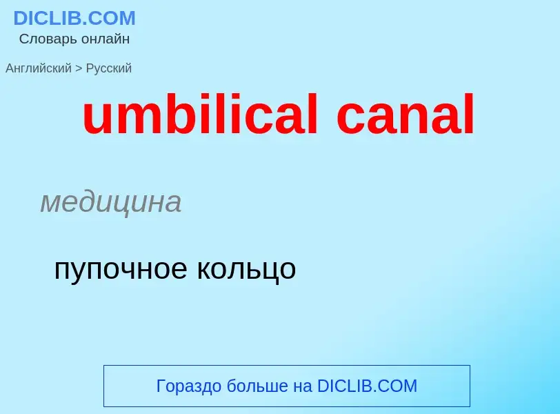 Μετάφραση του &#39umbilical canal&#39 σε Ρωσικά