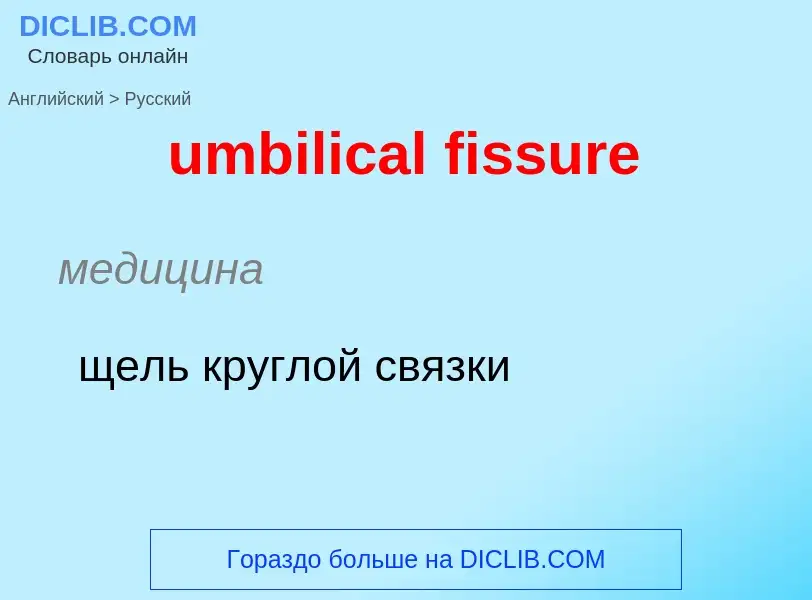 Μετάφραση του &#39umbilical fissure&#39 σε Ρωσικά