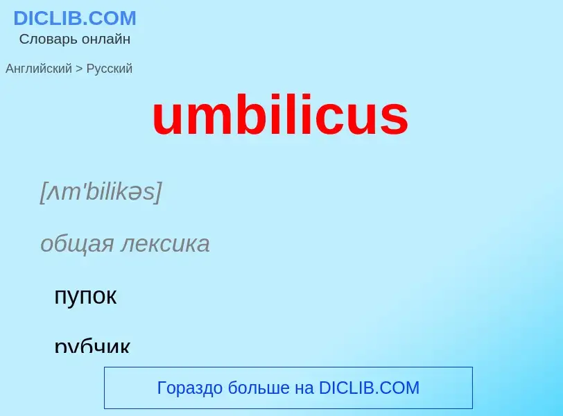 Μετάφραση του &#39umbilicus&#39 σε Ρωσικά