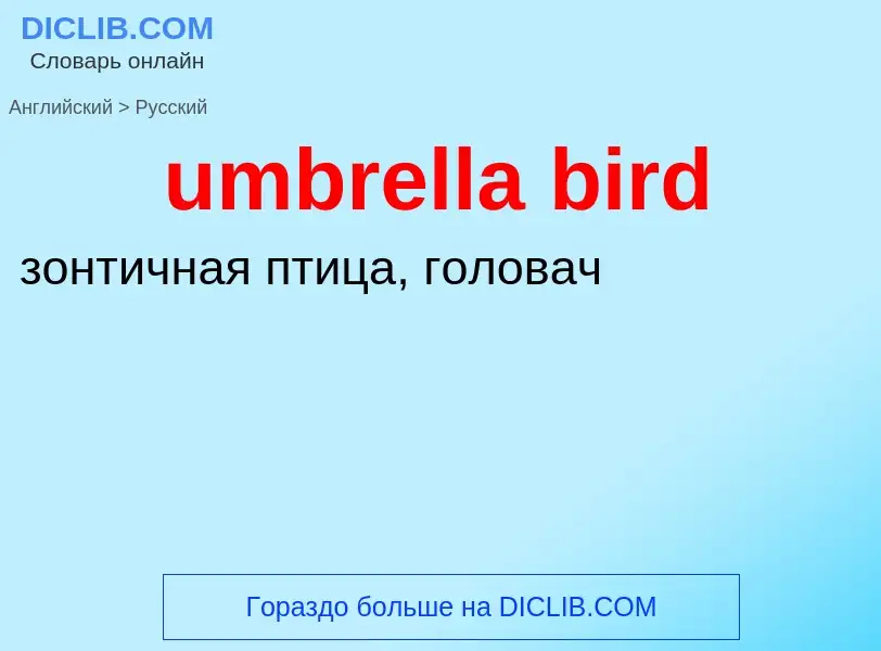 Μετάφραση του &#39umbrella bird&#39 σε Ρωσικά