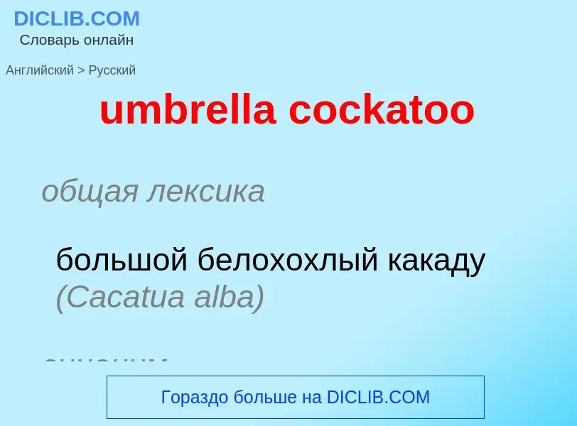 Μετάφραση του &#39umbrella cockatoo&#39 σε Ρωσικά