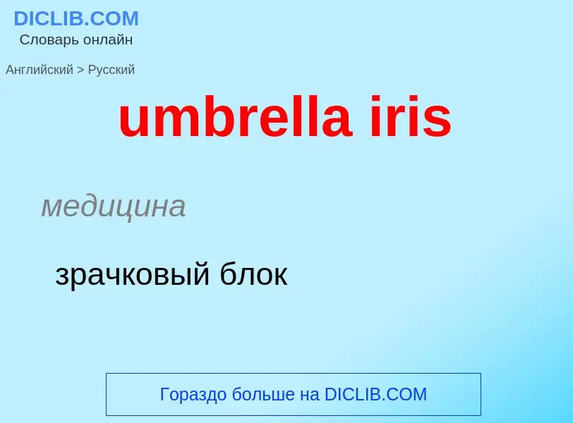 Μετάφραση του &#39umbrella iris&#39 σε Ρωσικά