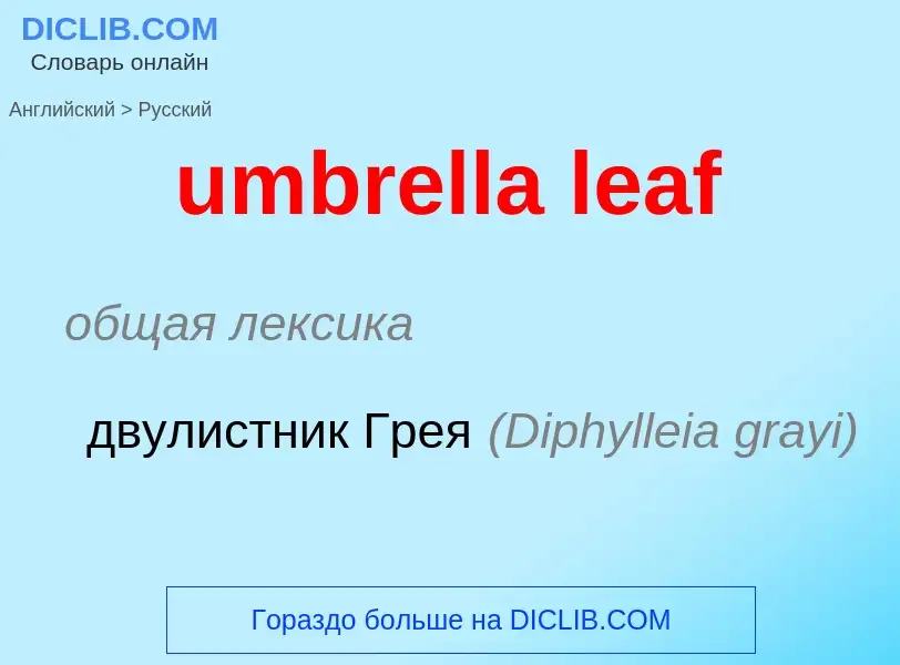 Μετάφραση του &#39umbrella leaf&#39 σε Ρωσικά