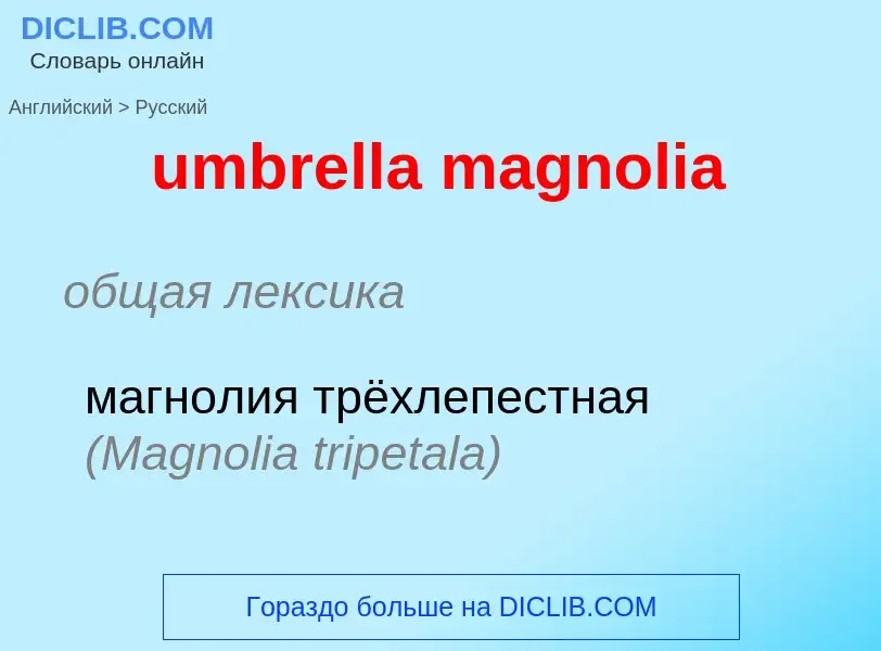 Μετάφραση του &#39umbrella magnolia&#39 σε Ρωσικά