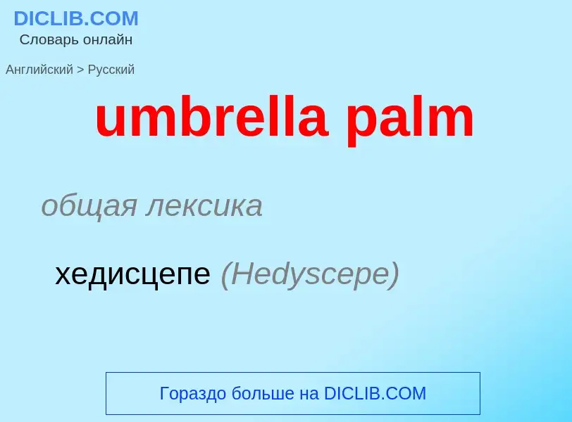 Μετάφραση του &#39umbrella palm&#39 σε Ρωσικά