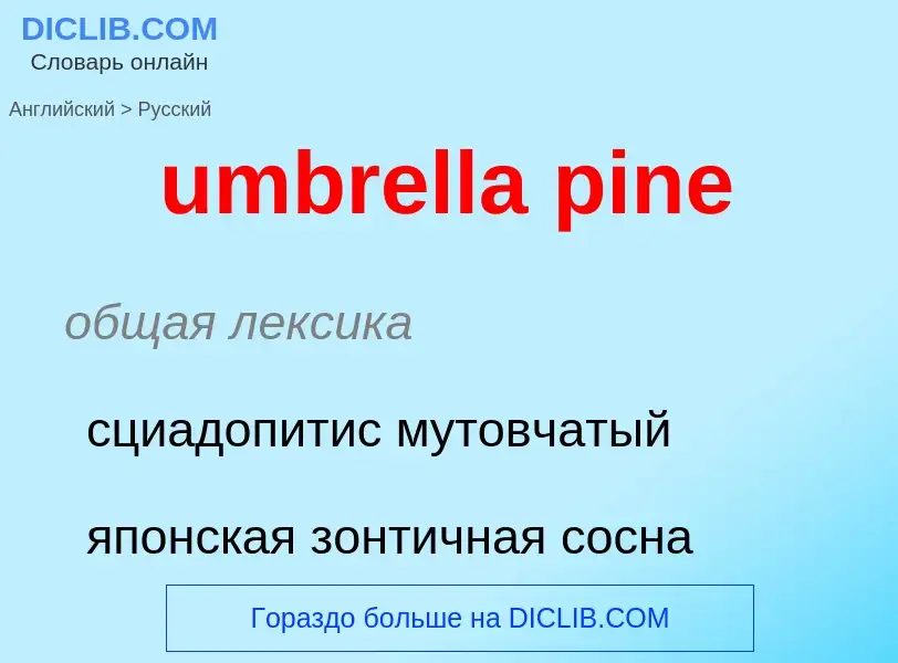 Μετάφραση του &#39umbrella pine&#39 σε Ρωσικά