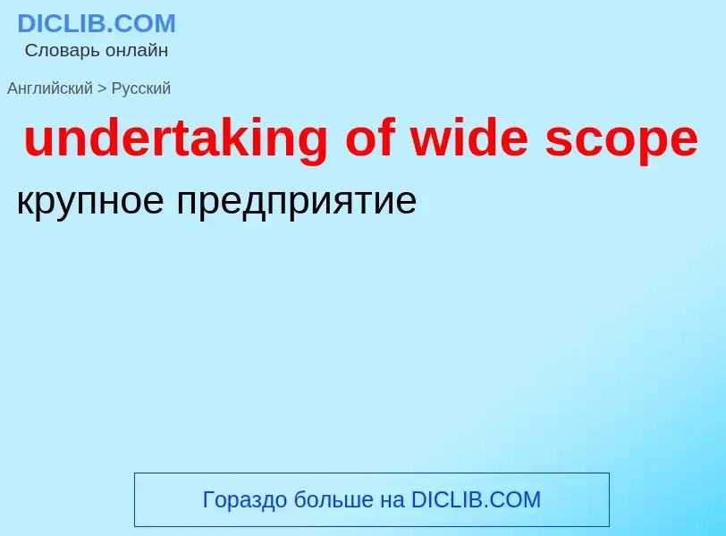 Μετάφραση του &#39undertaking of wide scope&#39 σε Ρωσικά