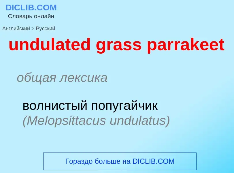 Traduzione di &#39undulated grass parrakeet&#39 in Russo