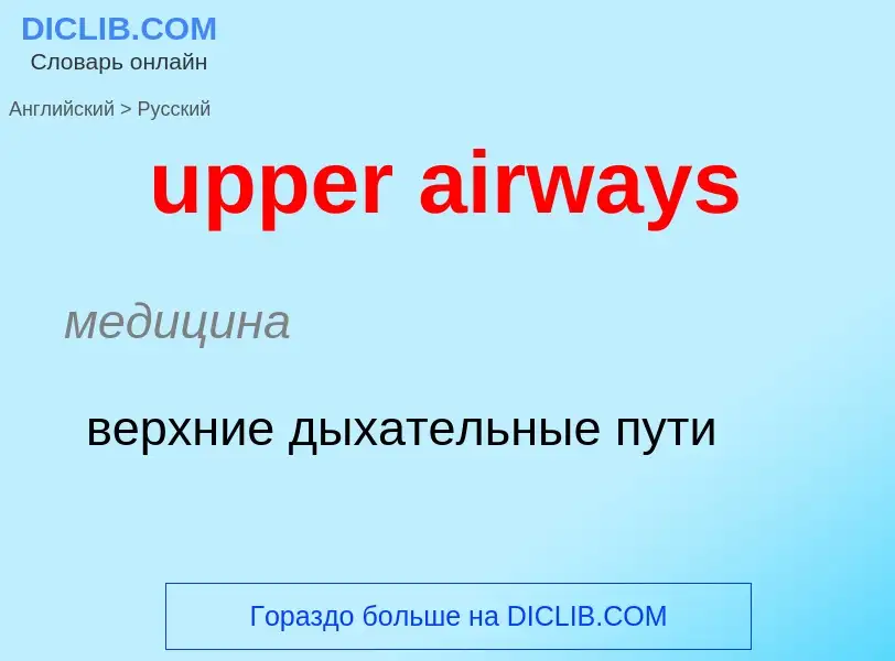 Как переводится upper airways на Русский язык