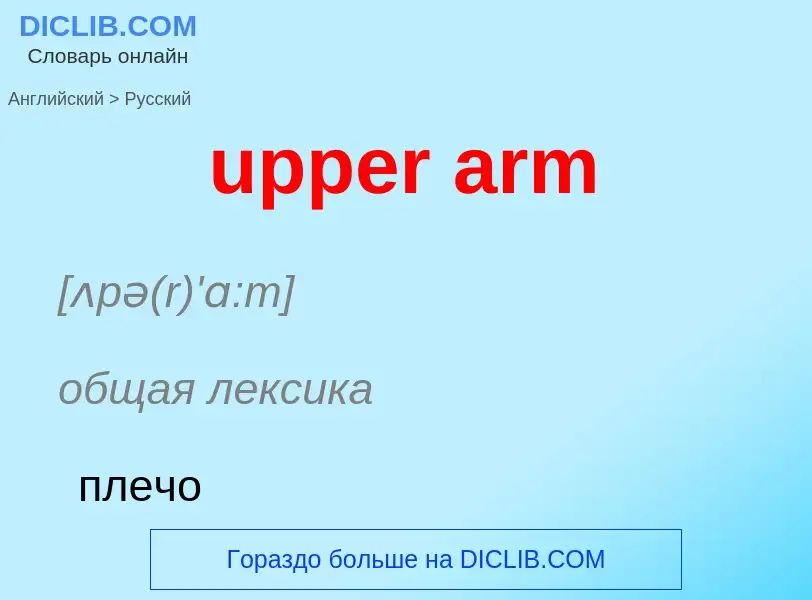 Как переводится upper arm на Русский язык