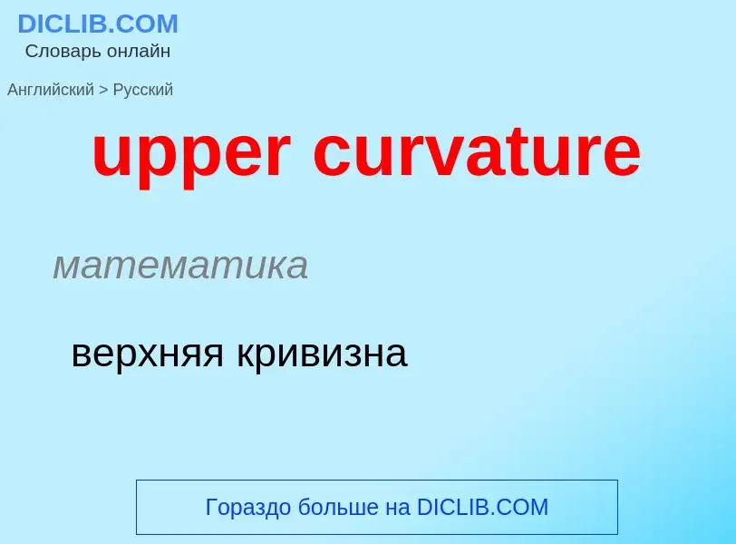 Как переводится upper curvature на Русский язык