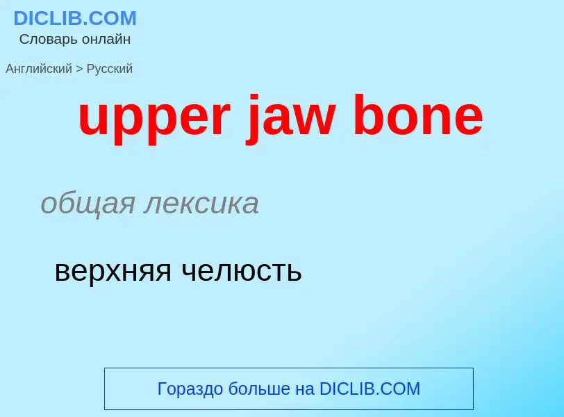 Как переводится upper jaw bone на Русский язык