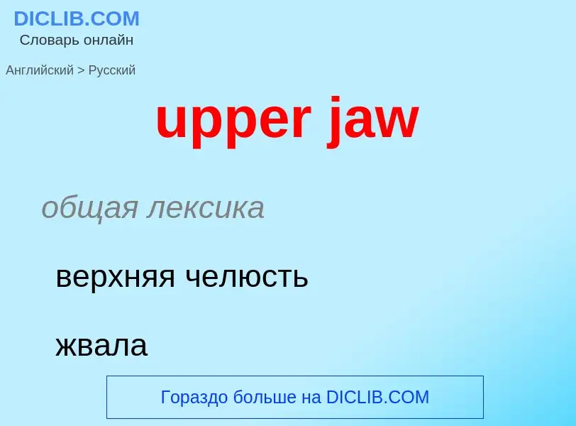 Как переводится upper jaw на Русский язык