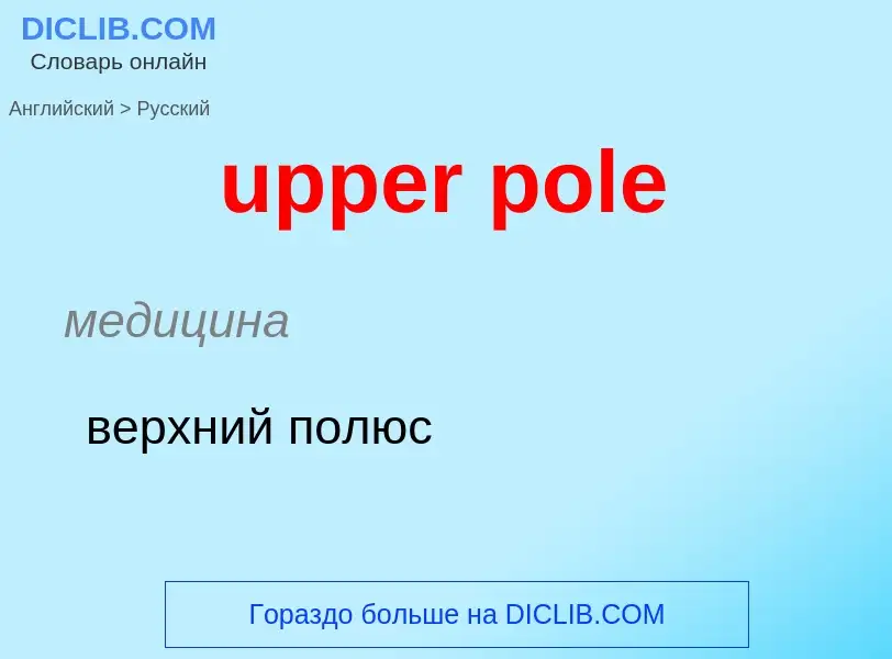 Как переводится upper pole на Русский язык