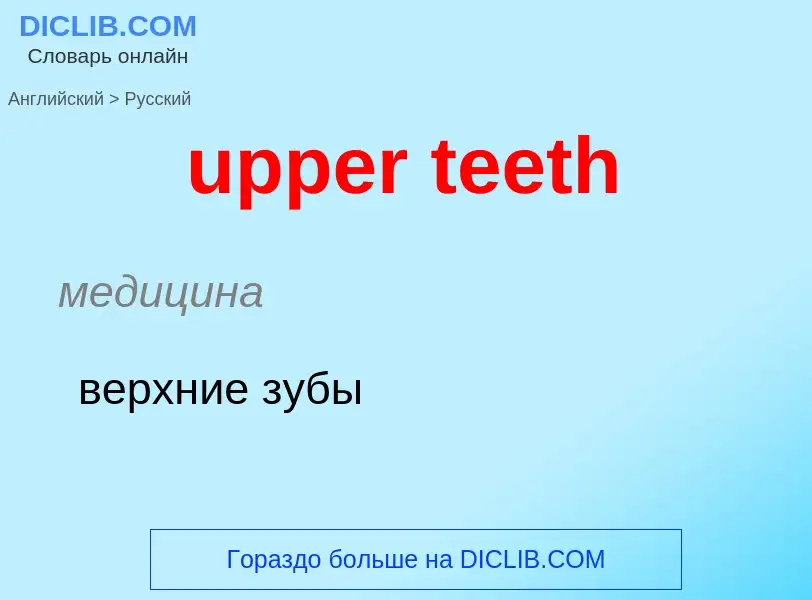 Как переводится upper teeth на Русский язык