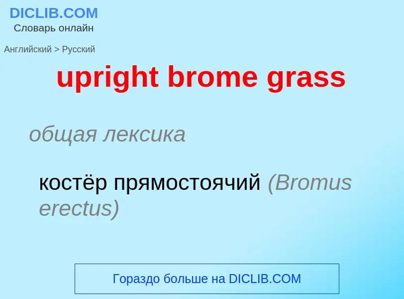 Как переводится upright brome grass на Русский язык