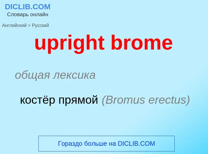 Как переводится upright brome на Русский язык