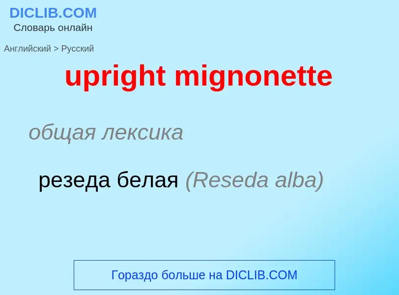 Vertaling van &#39upright mignonette&#39 naar Russisch