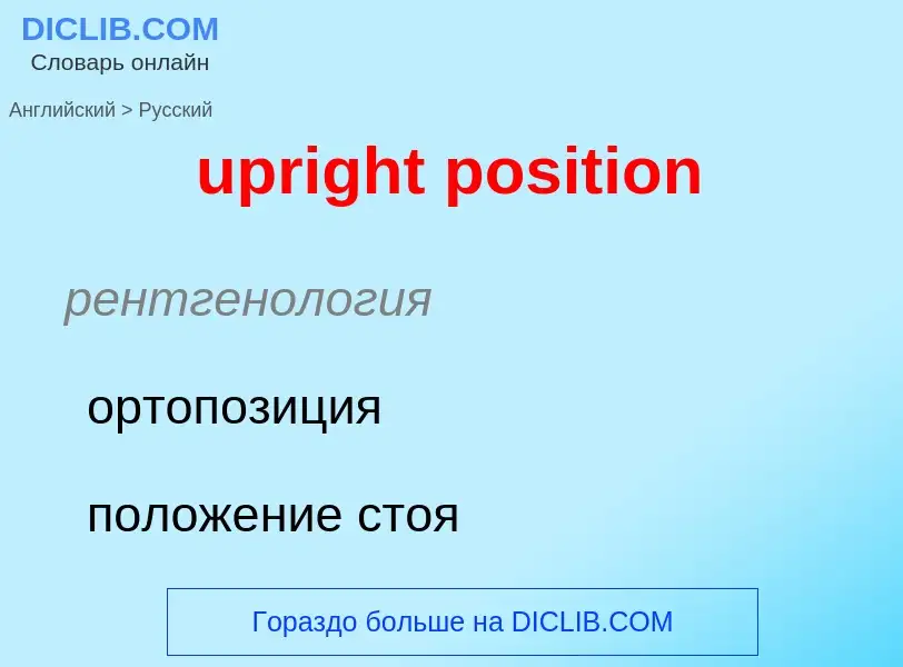 Как переводится upright position на Русский язык