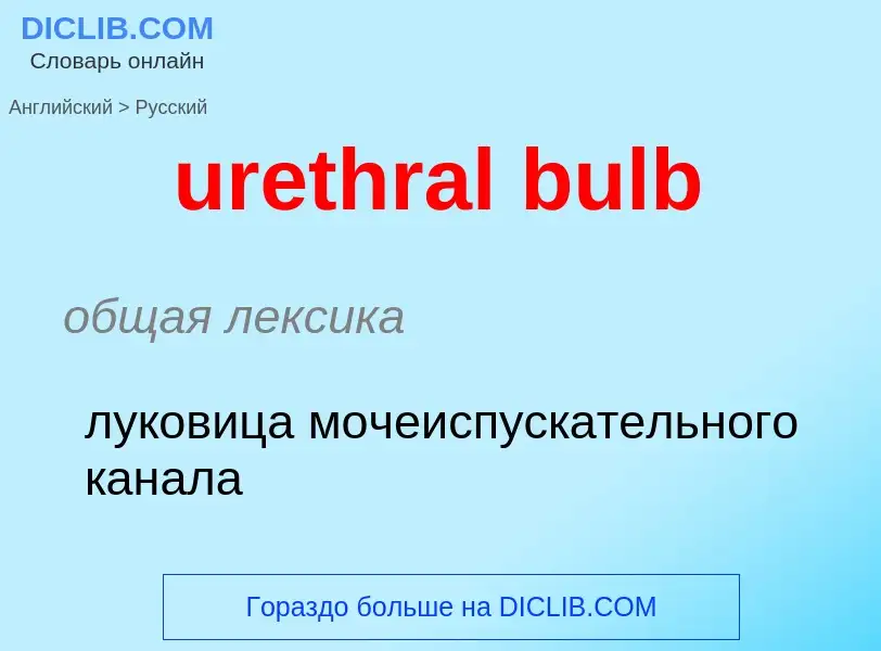 Как переводится urethral bulb на Русский язык