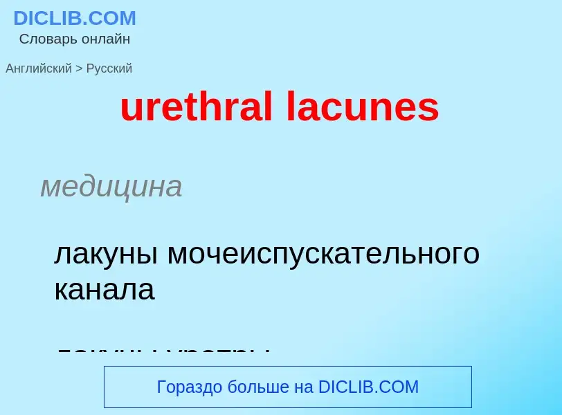 Как переводится urethral lacunes на Русский язык