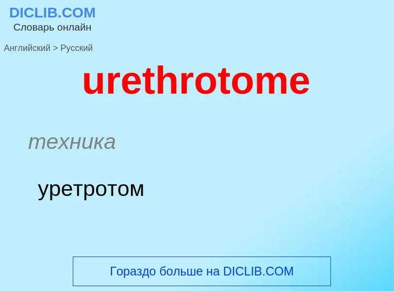 Как переводится urethrotome на Русский язык