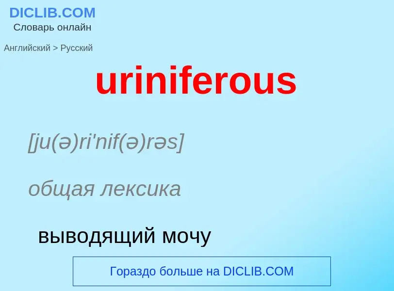 Как переводится uriniferous на Русский язык