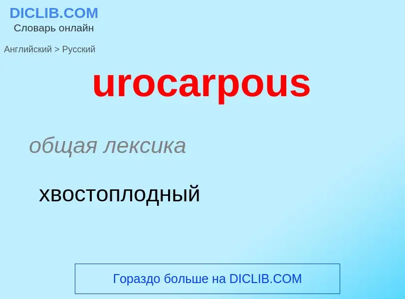 Übersetzung von &#39urocarpous&#39 in Russisch