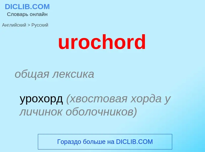 Übersetzung von &#39urochord&#39 in Russisch