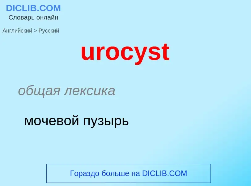 Übersetzung von &#39urocyst&#39 in Russisch