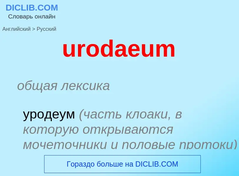 Übersetzung von &#39urodaeum&#39 in Russisch