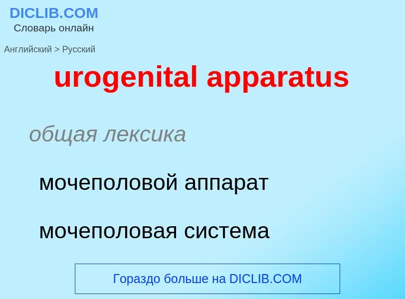 Übersetzung von &#39urogenital apparatus&#39 in Russisch