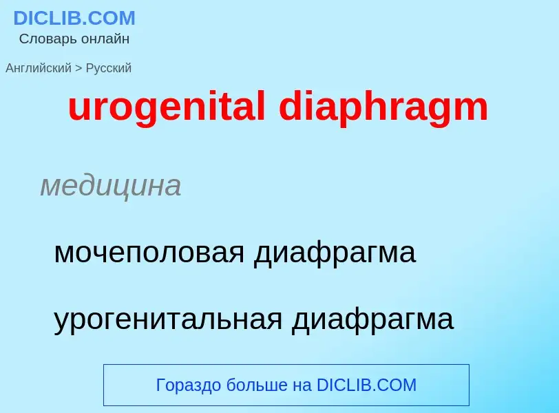 Übersetzung von &#39urogenital diaphragm&#39 in Russisch