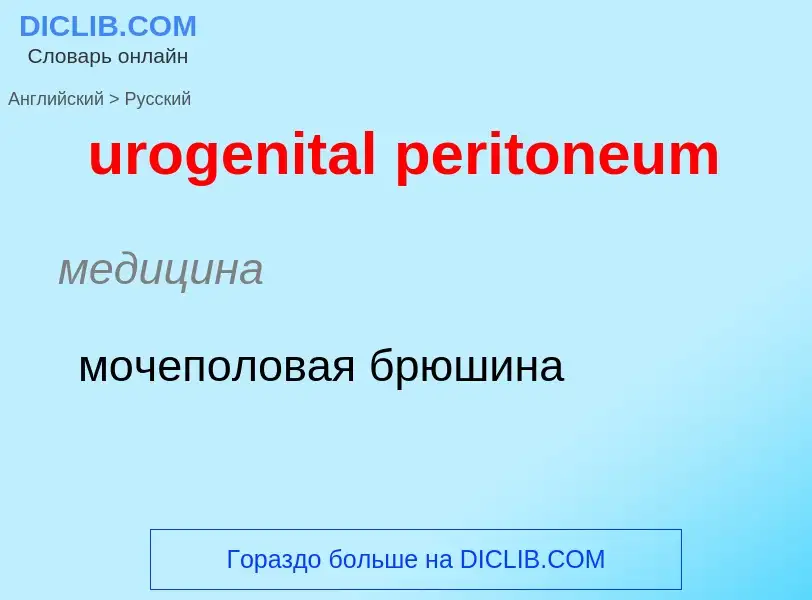 Traduzione di &#39urogenital peritoneum&#39 in Russo