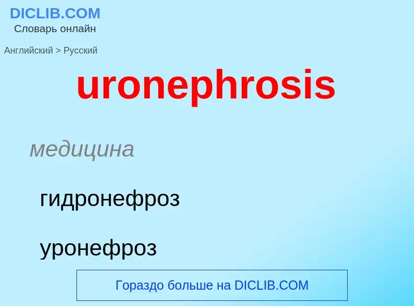 Übersetzung von &#39uronephrosis&#39 in Russisch