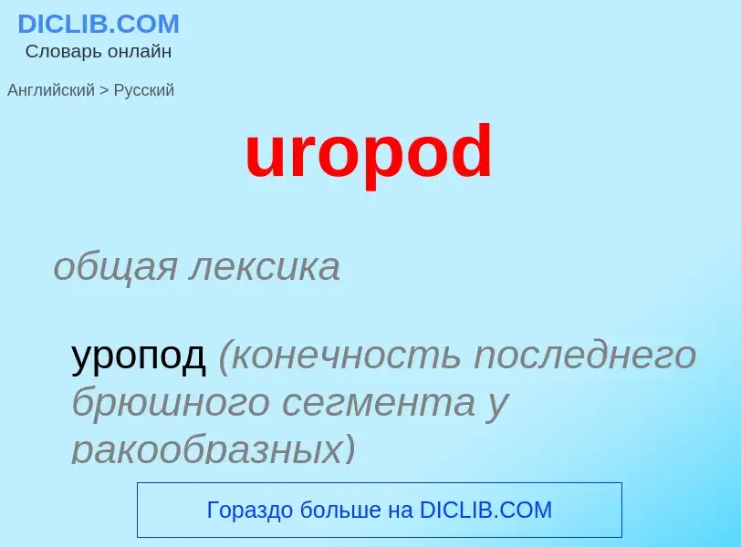 Как переводится uropod на Русский язык