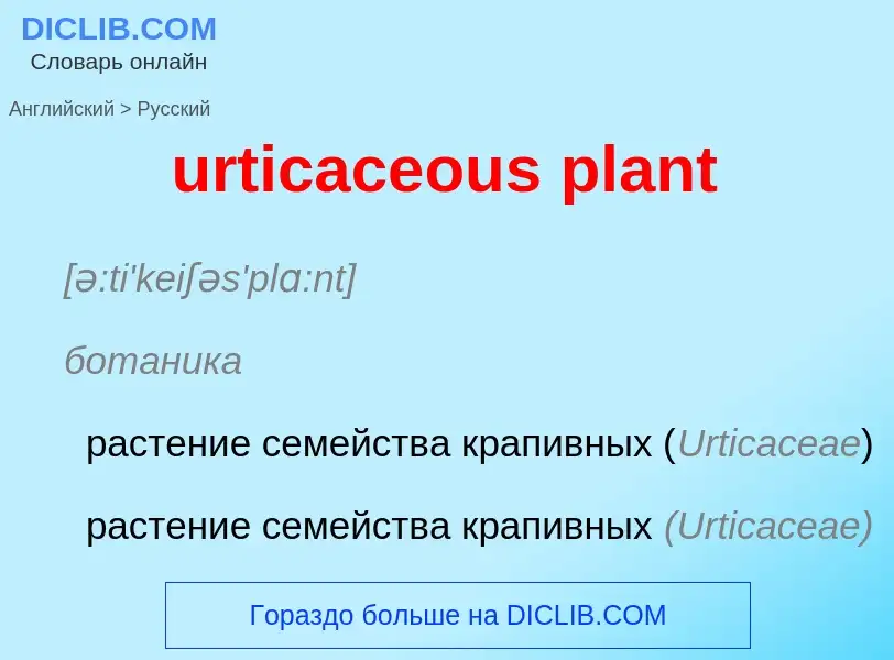 Как переводится urticaceous plant на Русский язык