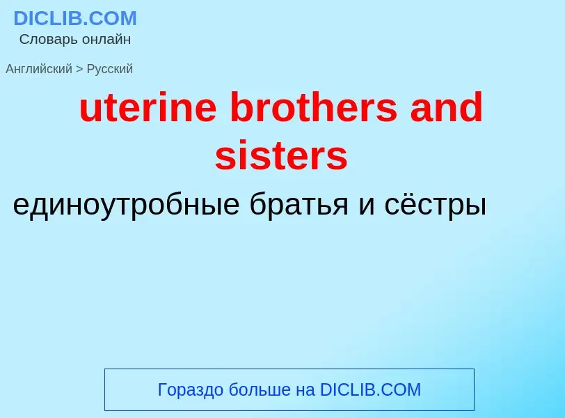 Как переводится uterine brothers and sisters на Русский язык