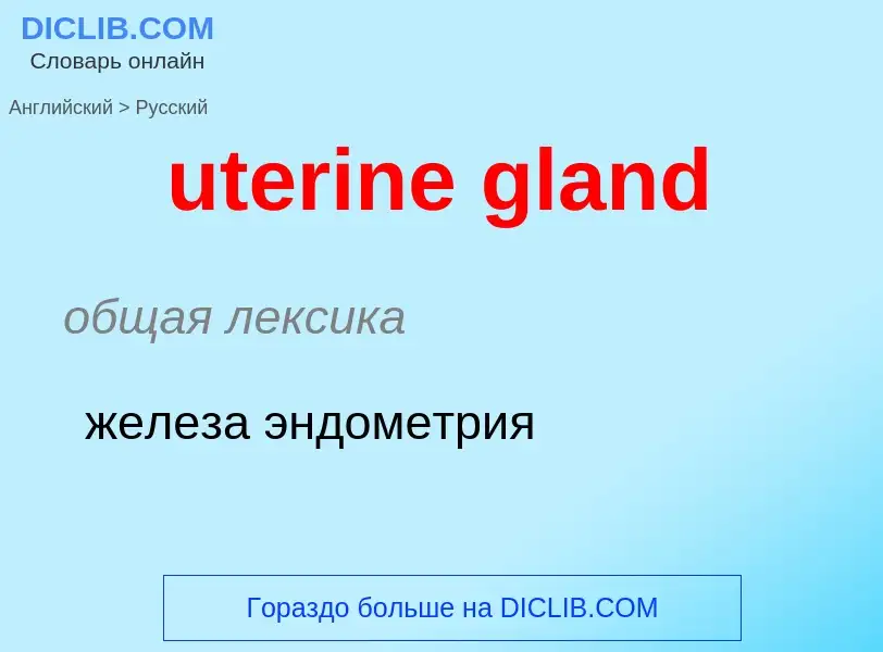 Traduzione di &#39uterine gland&#39 in Russo