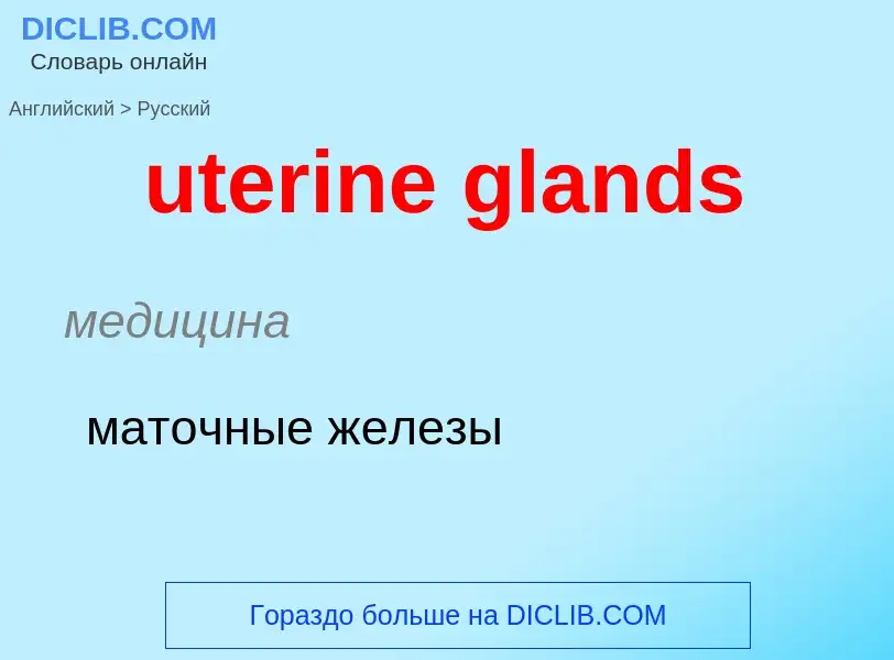 Traduzione di &#39uterine glands&#39 in Russo