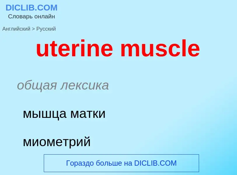 Как переводится uterine muscle на Русский язык