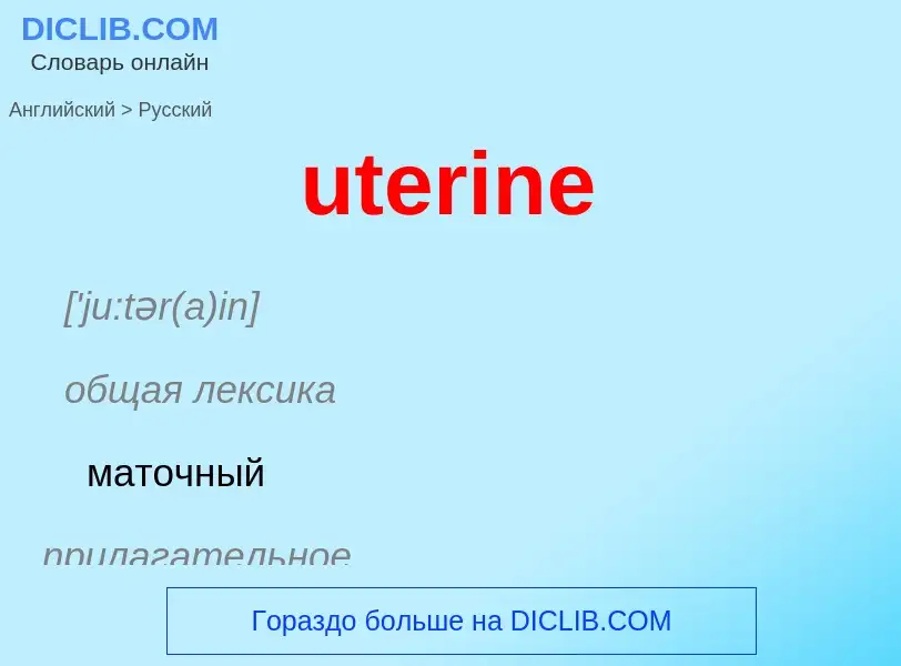 Traduzione di &#39uterine&#39 in Russo