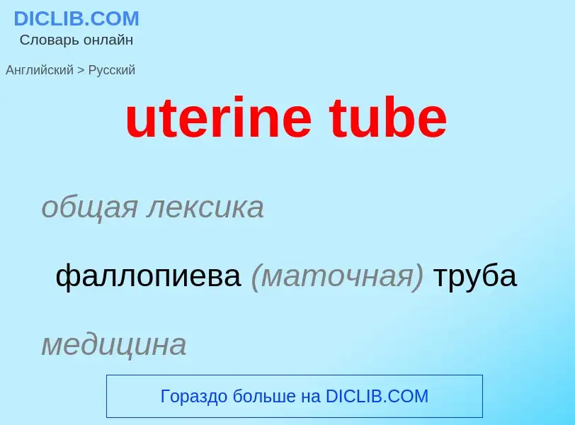 Traduzione di &#39uterine tube&#39 in Russo