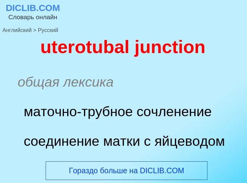 Как переводится uterotubal junction на Русский язык