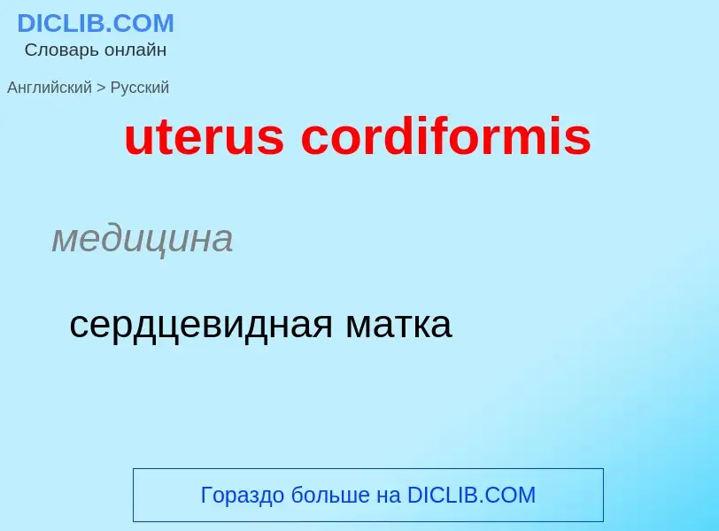 Как переводится uterus cordiformis на Русский язык