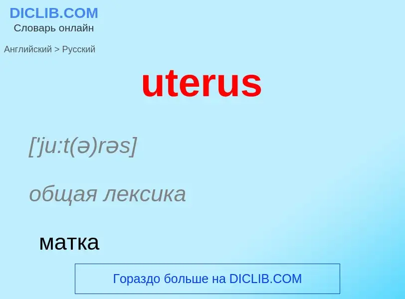 Как переводится uterus на Русский язык