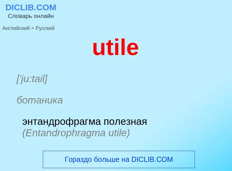 Как переводится utile на Русский язык