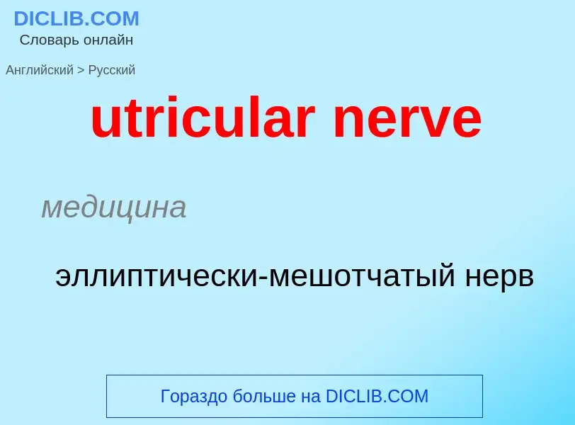 Traduzione di &#39utricular nerve&#39 in Russo